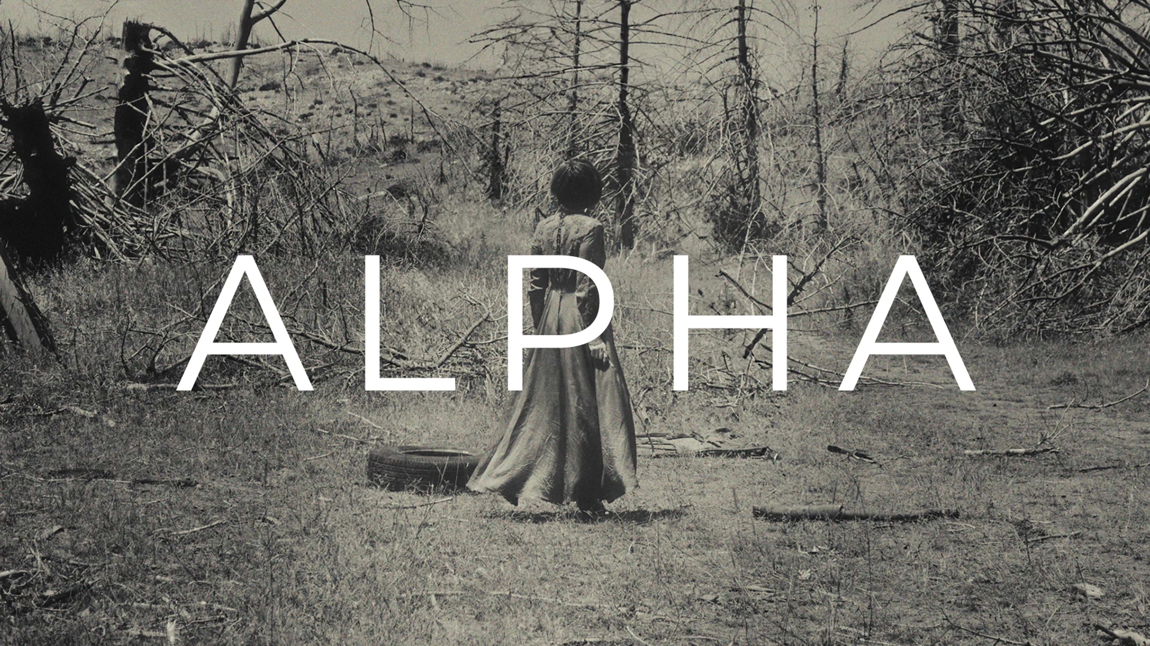 Alpha poster